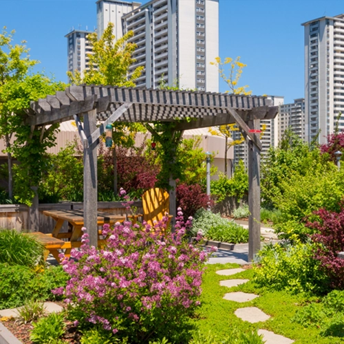 طراحی روف گاردن