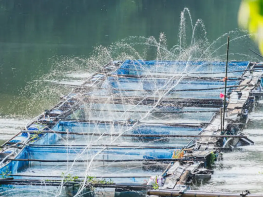 تجهیزات پرورش ماهی کپور